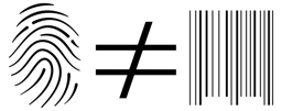The Or Foundation