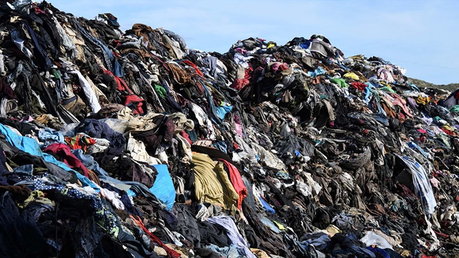 Fibershed | How Fashion Companies Can Take Responsibility for Their Waste and Move Toward A Just, Circular Textile Economy