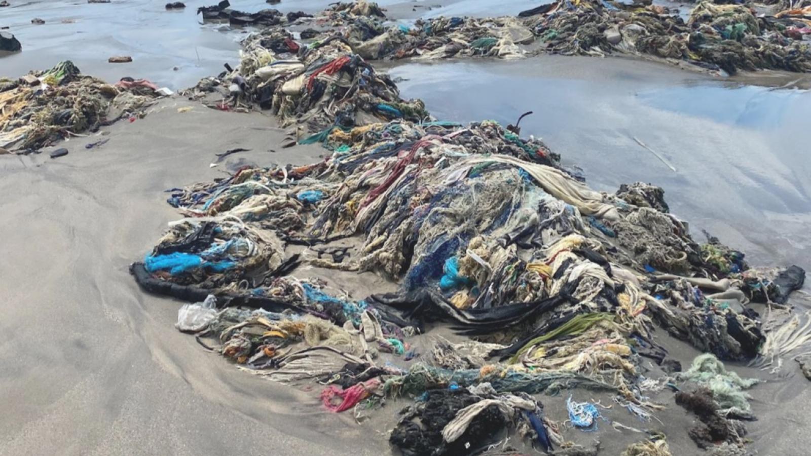 Waste Makes Visisble Our Sepration from Nature